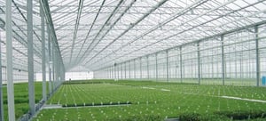 Sustainable & Efficient Architecture | LEXAN | POLYVANTIS