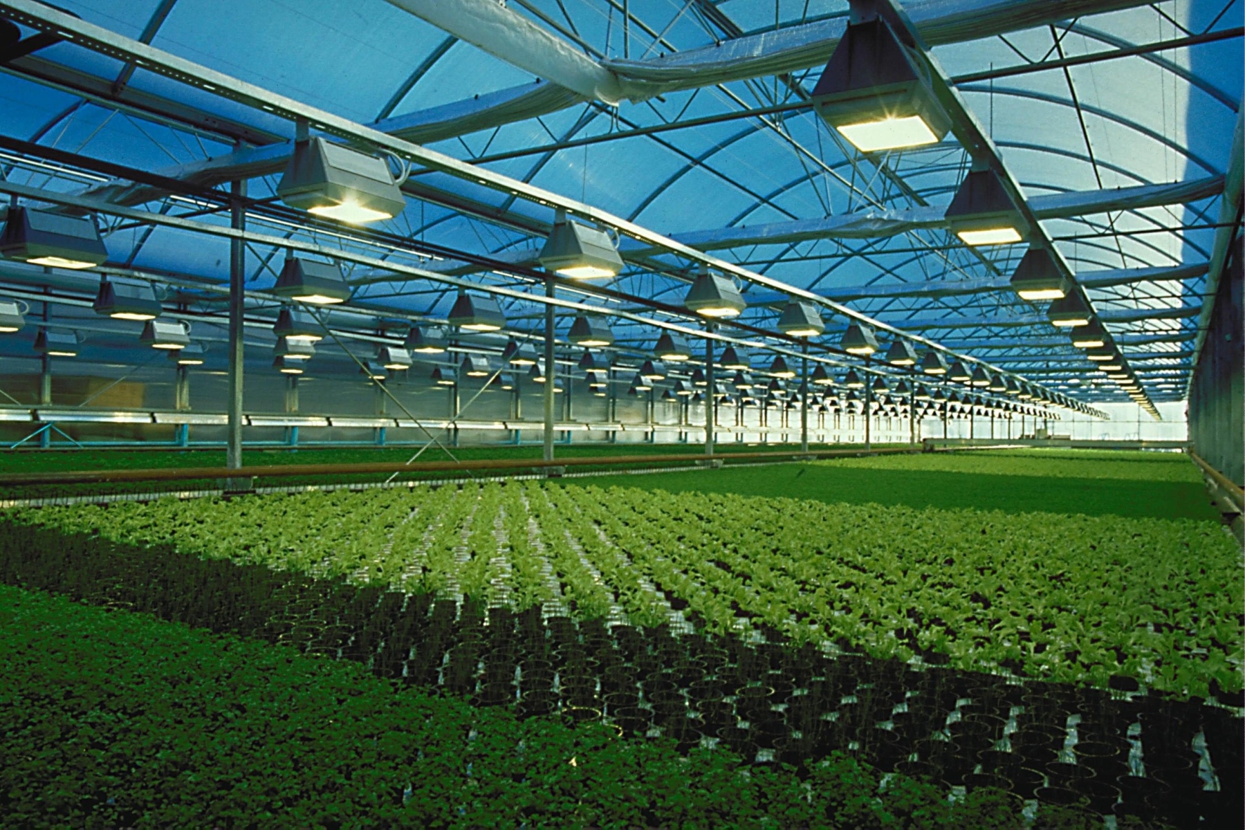 greenhouse plastics